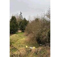 Pachtgarten - 1.000,00 EUR Kaltmiete, ca.  0,00 m² in Eisenach (PLZ: 99817)