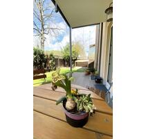 Moderne 2-Zimmer EG-Wohnung mit Garten & Garage in TopLage - Ingolstadt Südost