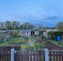 Idyllischen Kleingarten in Markkleeberg