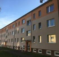 frisch Renoviert!! - prima 3Raum-Wohnung in Semlow - Bad Sülze