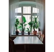 Schöne helle Wohnung zur Zwischenmiete (41 m²) - Dresden Cotta