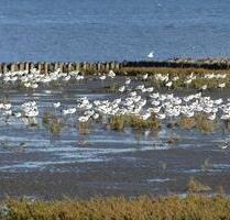 Lastminute 2-Pers. Hooksiel Nordsee 07.-14.September 7 Tage für 6 - Wangerland