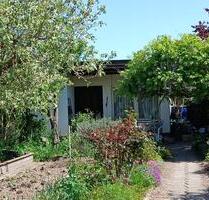 Garten (Pachtgarten) ab SOFORT ! - 04564 Böhlen