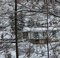 FerienhausEinfamilienhaus in Nesselhof zu verkaufen - Floh-Seligenthal