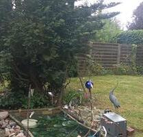 älteres Haus wartet auf Ihre Ideen - Berlin Steglitz-Zehlendorf