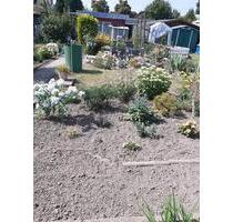 Pachtgarten - 300,00 EUR Kaltmiete, ca.  0,00 m² in Aschersleben (PLZ: 06449)