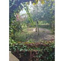 Kleingarten Garten Schrebergarten in Wilhelmshaven