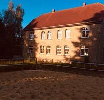 Reiterhof, Mehrfamilienhaus, Reitplatz, Reithalle zu verkaufen - Lemgo