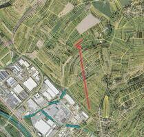 Wiesengrundstück mit Obstbestand - Gaggenau