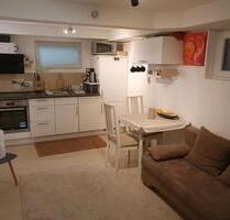 möblierte 2 Zimmer-Wohnung ab sofort befristet bis Oktober - Darmstadt Darmstadt-Nord
