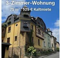Sonnige 2,5 Zimmerwohnung, frisch renoviert, bezugsfertig - Sonneberg