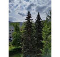 440,00 EUR Kaltmiete, ca.  56,90 m² in Dresden (PLZ: 01257) Leuben