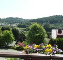 Gemütliche Singlewohnung - 370,00 EUR Kaltmiete, ca.  39,00 m² in Warmensteinach (PLZ: 95485)