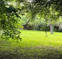 Garten Streuobstwiese in Kronberg, eingezäunt - Kronberg im Taunus