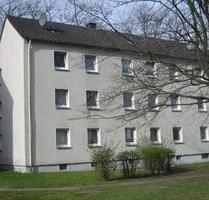 Nimm mich! Günstig geschnittene 2-Zimmer-Wohnung - Bochum Bochum-Mitte