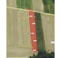 Ackerfläche 7290m² - 18,00 EUR Kaltmiete, ca.  0,00 m² in Ingolstadt (PLZ: 85049)