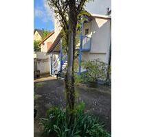 1-Zimmer Wohnung mit ca. 46 m² Wohnfläche - Frankfurt am Main Schwanheim