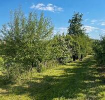 Ruhiger Garten (500 m²) zwischen Poppenweiler & Hochdorf - Ludwigsburg Hoheneck