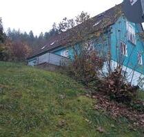wohnung vermieten - 800,00 EUR Kaltmiete, in Schramberg (PLZ: 78713)