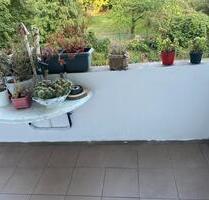 Wohnung zu vermieten - 560,00 EUR Kaltmiete, in Duisburg (PLZ: 47058) Duisburg-Mitte