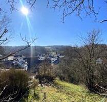 Zur Pacht: Freizeitgrundstück in Weinbach-Elkerhausen