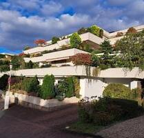 RAUMRIESE MIT RIESENTERRASSE UND SAUNA - elegante Terrassenwohnung - Friedrichsdorf