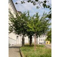 Top renovierte Wohnung - 850,00 EUR Kaltmiete, in Saarbrücken (PLZ: 66119) St. Arnual