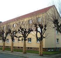 Frisch renovierte 2-Raumwohnung für Jung und Alt - Finsterwalde