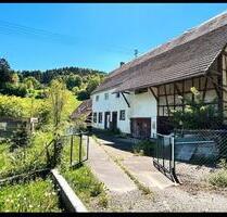 Selbstversorgertraum! 6800qm, 110qm, Bachlauf, Tiny House - Horb am Neckar