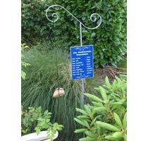 2 Zi.Whg.Terrasse,Garten,Stellplatz,teilm.,800 Euro warm Rantrum