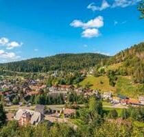 3 Zimmerwohnung in Todtmoos zu vermieten - Wehr