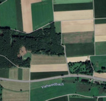 Wald Waldgrundstück Waldstück Forst Forstfläche Holz - Meitingen