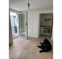 Schöne, neu renovierte 2 Zimmer, Küche, Bad Wohnung zu vermieten - Landshut Landshut-West