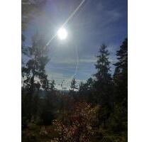 Haus zur Miete - 900,00&nbsp;EUR Kaltmiete, ca.&nbsp; 130,00&nbsp;m&sup2; in Freyung (PLZ: 94078)