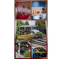 Schrebergarten in Kleingartensparte Köthen - Köthen (Anhalt)