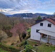 Kürzlich renovierte 3 Zimmer Wohnung mit Garten - Wald-Michelbach