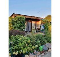 Garten in Kummerow-Schwedt Oder (Pacht) - Berlin Reinickendorf