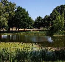 5Raumwohnung nahe Greifswald mit 200m² Garten - Tutow