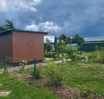 Garten, Schrebergarten, Kleingarten - Bergen auf Rügen