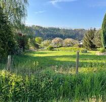 Hennef Happerschoss Wiese Garten,Zaun,,Pferde, Kühe, Schafe,Ziege - Hennef (Sieg)