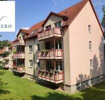 Wohnen im gemütlichen Dachgeschoß mit Balkon - Leisnig