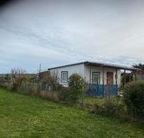 Pachtgarten - 900,00 EUR Kaltmiete, ca.  0,00 m² in Seegebiet Mansfelder Land (PLZ: 06317)