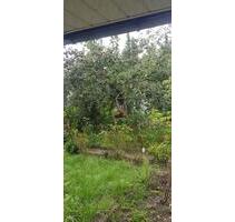 Garten abzugeben - 600,00 EUR Kaltmiete, ca.  0,00 m² in Teutschenthal (PLZ: 06179)
