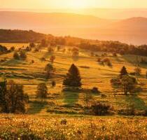 Mehrfamilienhaus in der Rhön zu verkaufen - Tann (Rhön)