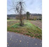 Garten zu verpachten - 50,00 EUR Kaltmiete, ca.  0,00 m² in Königheim (PLZ: 97953)