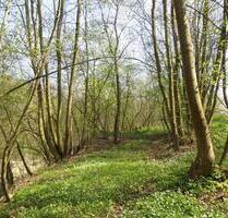 400,00 EUR Kaltmiete, ca.  0,00 m² in Arnstein (PLZ: 06456)