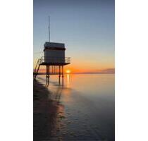 ❤️❤️Ferienwohnung,Ferienhaus auf Usedom,in Zempin an der Ostsee! - Koserow
