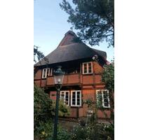 Traumhafte 2 Zimmer Wohnung zu vermieten - Rellingen