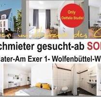 Stundentenwohnung im Erdgeschoss Neubau am exer 43 Wolfenbüttel
