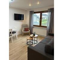 Exklusive, vollmöblierte 1- bis 2-Zimmer-Wohnungen in Oberwesel